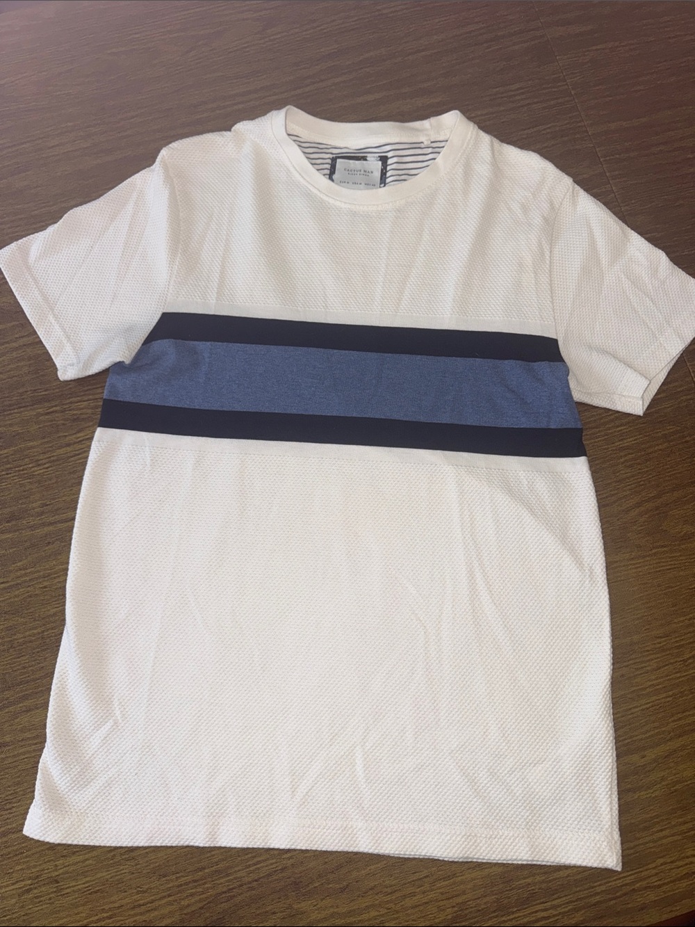 Cactus Man Ricky Singh Men's White Short Sleeve Crewneck Tee with Blue Stripe